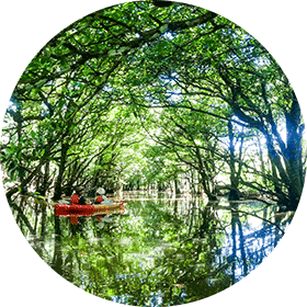 浦内川支流ウタラ川 浦内川支流ウタラ川