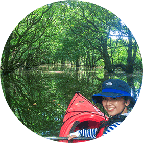 シンメトリーの世界 シンメトリーの世界