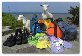 レンタル装備品が全て無料